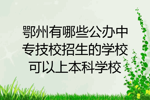 鄂州有哪些公办中专技校招生的学校可以上本科学校