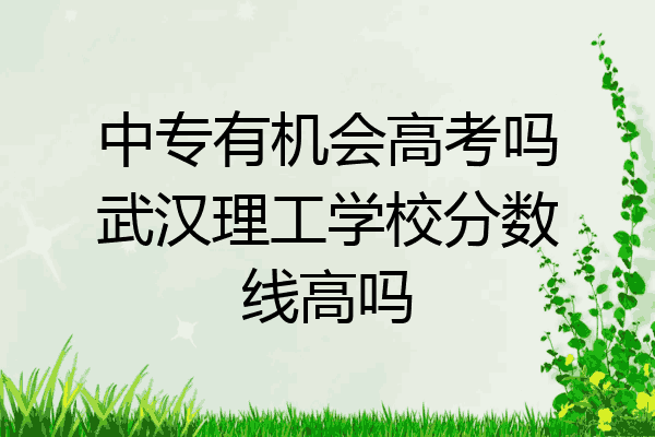 中专有机会高考吗武汉理工学校分数线高吗