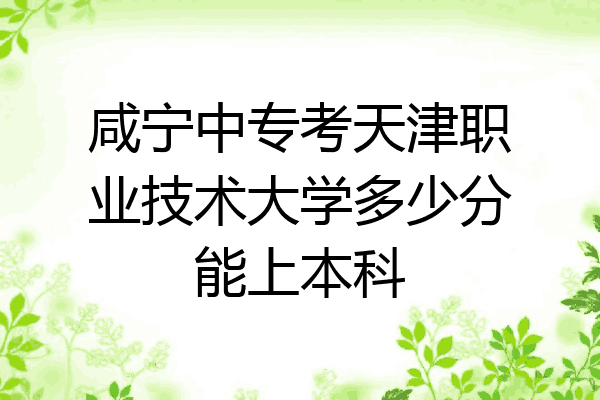咸宁中专考天津职业技术大学多少分能上本科