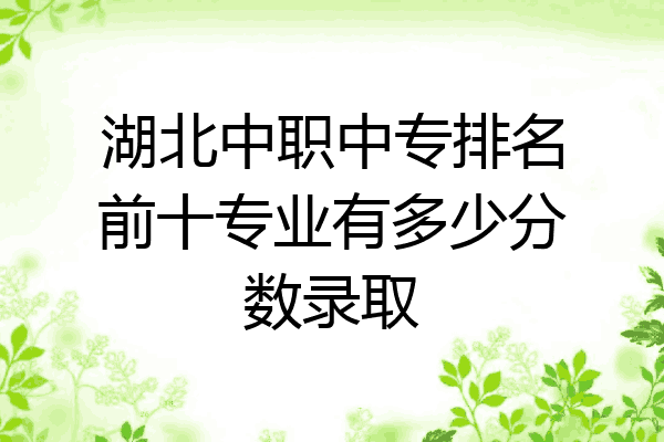 湖北中职中专排名前十专业有多少分数录取