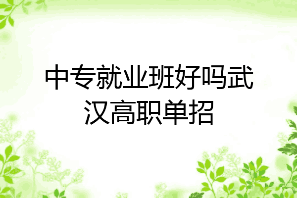 中专就业班好吗武汉高职单招