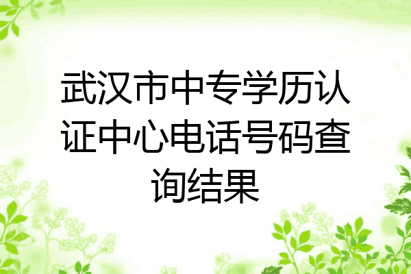 武汉市中专学历认证中心电话号码查询结果