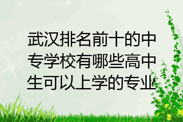 武汉排名前十的中专学校有哪些高中生可以上学的专业