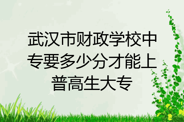 武汉市财政学校中专要多少分才能上普高生大专