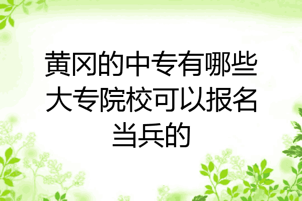 黄冈的中专有哪些大专院校可以报名当兵的