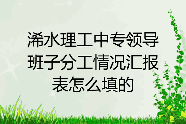 浠水理工中专领导班子分工情况汇报表怎么填的