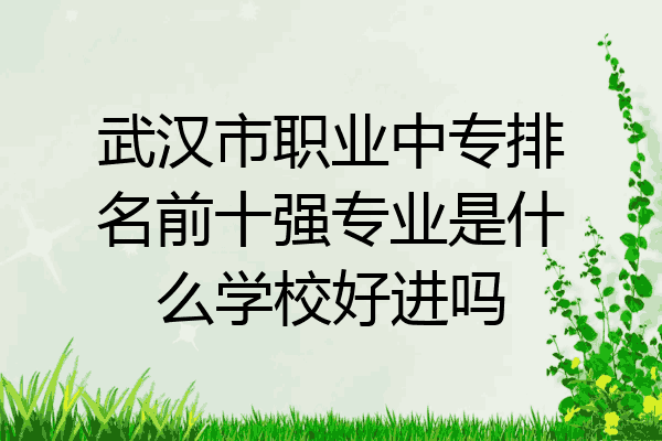 武汉市职业中专排名前十强专业是什么学校好进吗