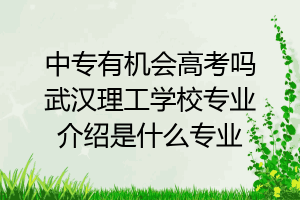 中专有机会高考吗武汉理工学校专业介绍是什么专业