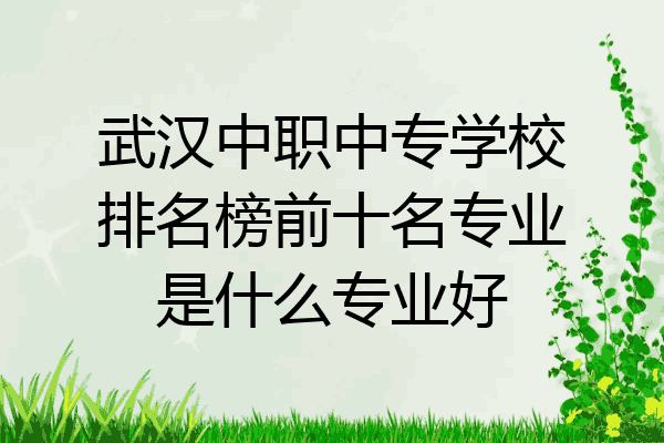 武汉中职中专学校排名榜前十名专业是什么专业好