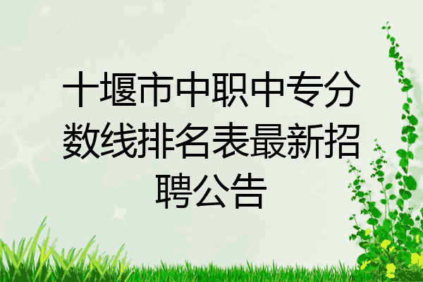 十堰市中职中专分数线排名表最新招聘公告