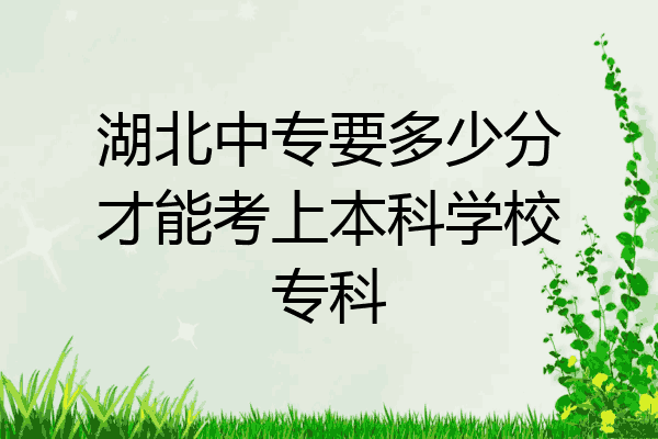 湖北中专要多少分才能考上本科学校专科