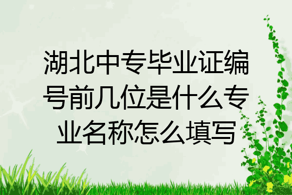 湖北中专毕业证编号前几位是什么专业名称怎么填写