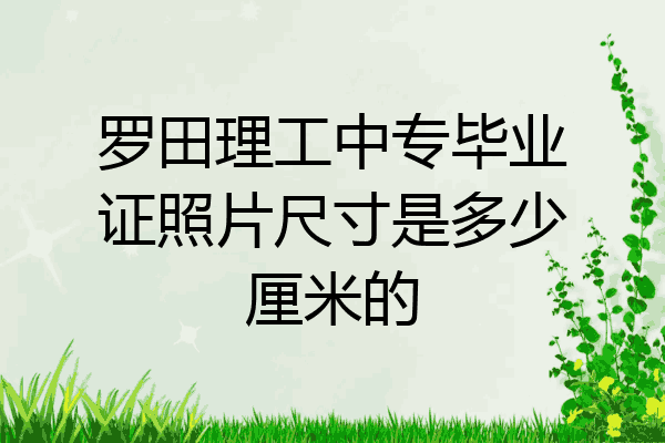 罗田理工中专毕业证照片尺寸是多少厘米的