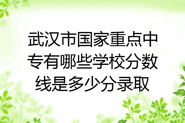 武汉市国家重点中专有哪些学校分数线是多少分录取