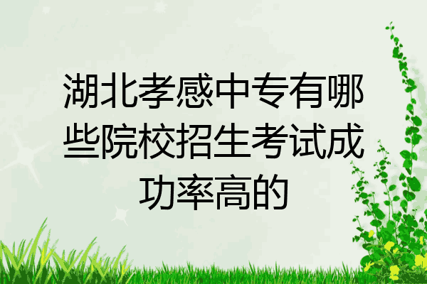 湖北孝感中专有哪些院校招生考试成功率高的