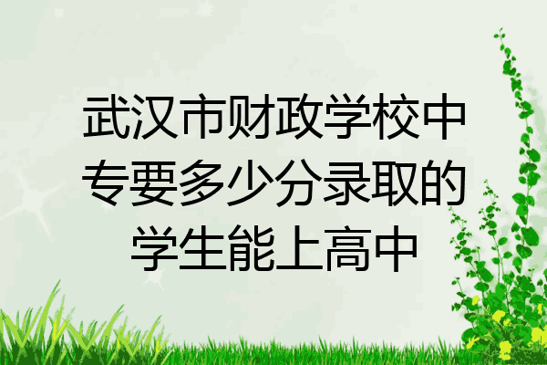武汉市财政学校中专要多少分录取的学生能上高中