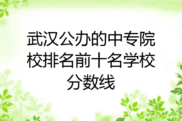 武汉公办的中专院校排名前十名学校分数线