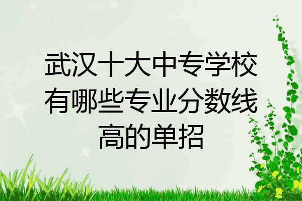 武汉十大中专学校有哪些专业分数线高的单招
