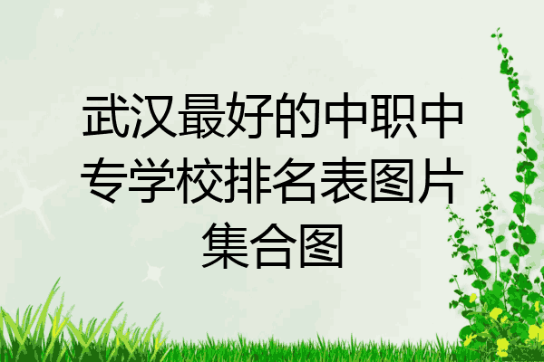 武汉最好的中职中专学校排名表图片集合图