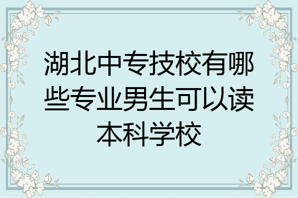 湖北中专技校有哪些专业男生可以读本科学校