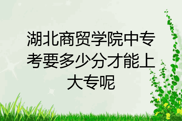 湖北商贸学院中专考要多少分才能上大专呢