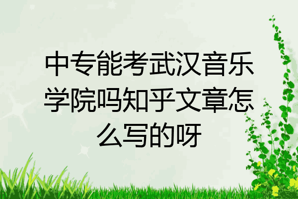 中专能考武汉音乐学院吗知乎文章怎么写的呀