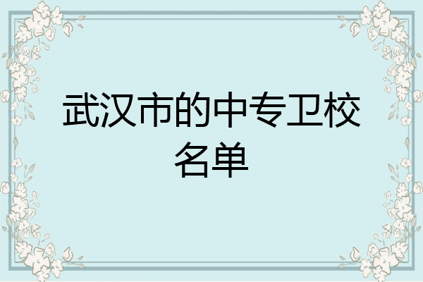武汉市的中专卫校名单