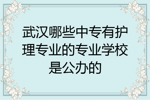 武汉哪些中专有护理专业的专业学校是公办的