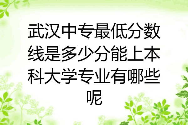 武汉中专最低分数线是多少分能上本科大学专业有哪些呢