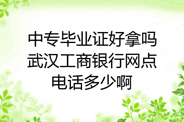 中专毕业证好拿吗武汉工商银行网点电话多少啊