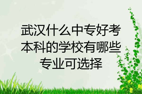 武汉什么中专好考本科的学校有哪些专业可选择