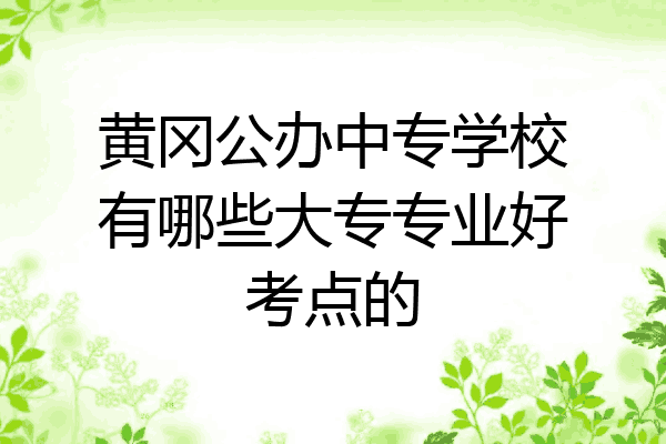 黄冈公办中专学校有哪些大专专业好考点的