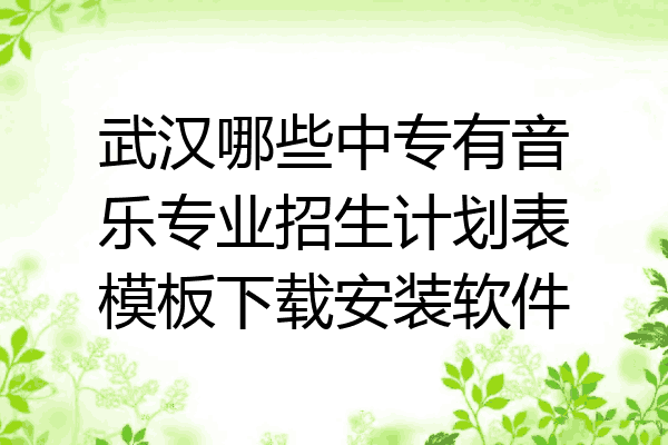 武汉哪些中专有音乐专业招生计划表模板下载安装软件