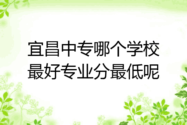 宜昌中专哪个学校最好专业分最低呢