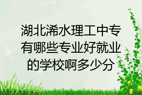 湖北浠水理工中专有哪些专业好就业的学校啊多少分