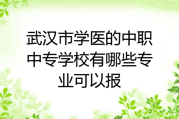 武汉市学医的中职中专学校有哪些专业可以报
