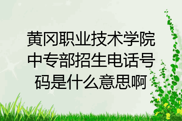 黄冈职业技术学院中专部招生电话号码是什么意思啊