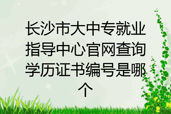 长沙市大中专就业指导中心官网查询学历证书编号是哪个