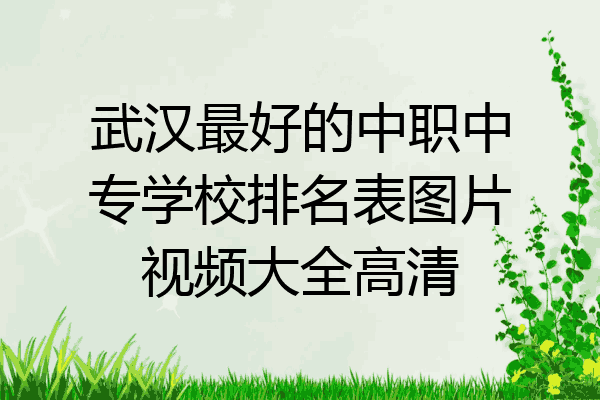 武汉最好的中职中专学校排名表图片视频大全高清