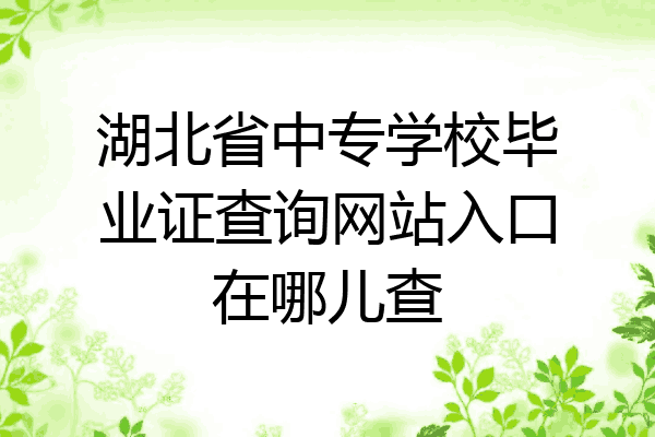 湖北省中专学校毕业证查询网站入口在哪儿查