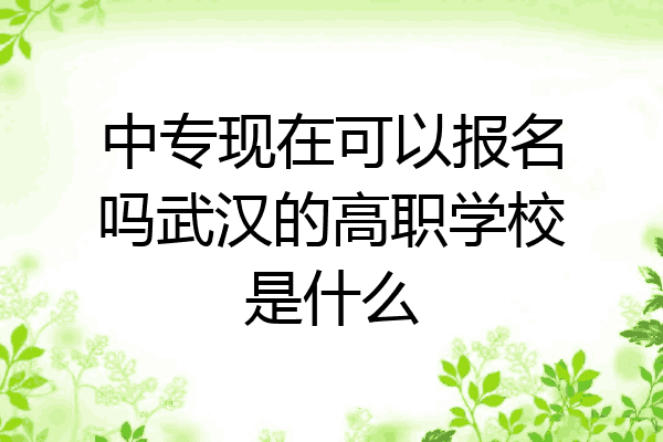 中专现在可以报名吗武汉的高职学校是什么