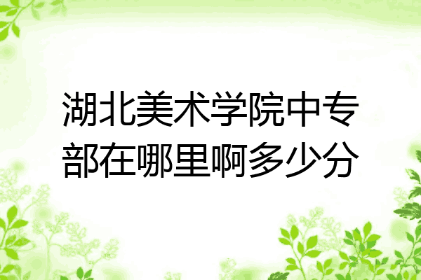 湖北美术学院中专部在哪里啊多少分