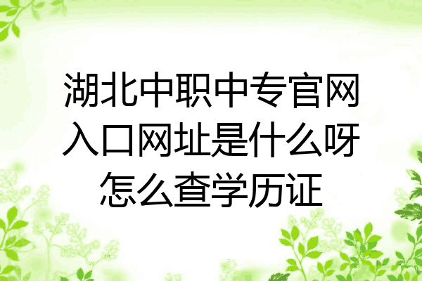 湖北中职中专官网入口网址是什么呀怎么查学历证