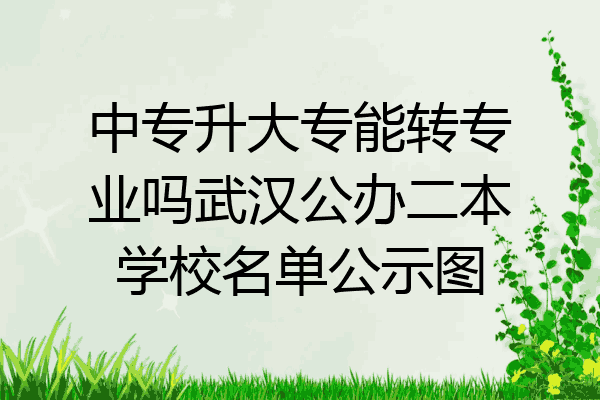 中专升大专能转专业吗武汉公办二本学校名单公示图