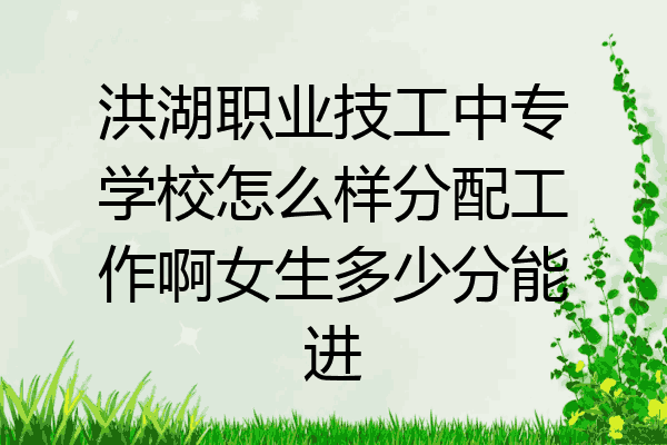 洪湖职业技工中专学校怎么样分配工作啊女生多少分能进