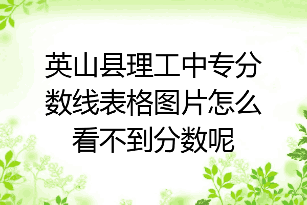 英山县理工中专分数线表格图片怎么看不到分数呢