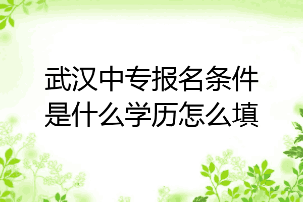 武汉中专报名条件是什么学历怎么填