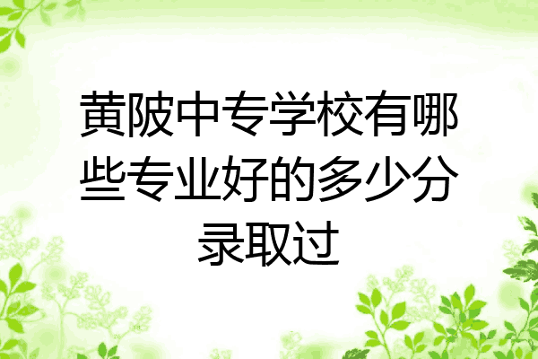 黄陂中专学校有哪些专业好的多少分录取过