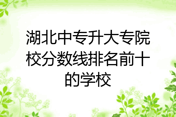 湖北中专升大专院校分数线排名前十的学校