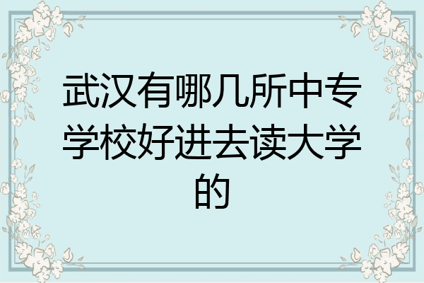 武汉有哪几所中专学校好进去读大学的